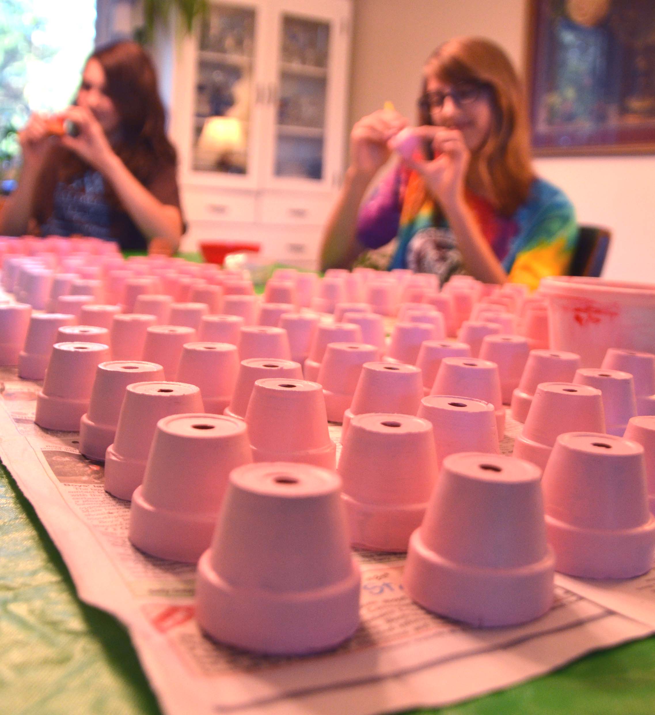 Painting Pink Pots